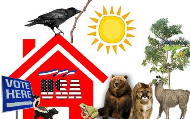 picture-november-2018